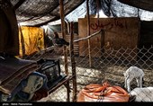 زیستگاه‌های بیت کوصر - خوزستان