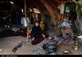 زیستگاه‌های بیت کوصر - خوزستان