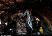 زیستگاه‌های بیت کوصر - خوزستان