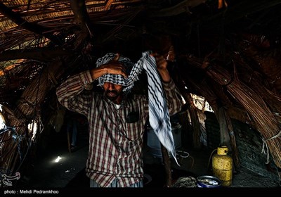 زیستگاه‌های بیت کوصر - خوزستان