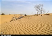 زیستگاه‌های بیت کوصر - خوزستان