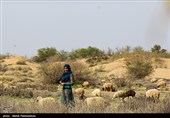 زیستگاه‌های بیت کوصر - خوزستان
