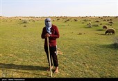 زیستگاه‌های بیت کوصر - خوزستان