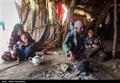 زیستگاه‌های بیت کوصر - خوزستان