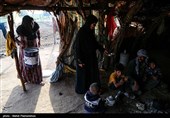 زیستگاه‌های بیت کوصر - خوزستان