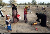 زیستگاه‌های بیت کوصر - خوزستان
