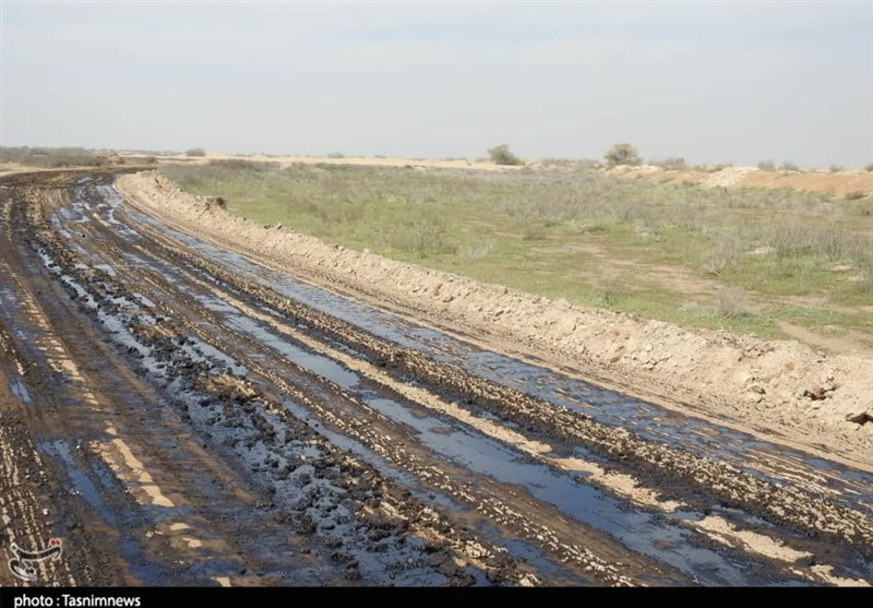 مالچ پاشی اقدامی مرگبار علیه تنوع زیستی خوزستان و اتلاف بیت المال است