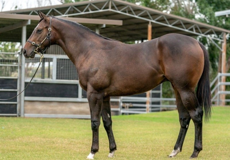 سردار آزمون ,