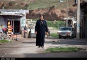 617 محله گلستان زیر چتر شورای راهبری قرار گرفتند