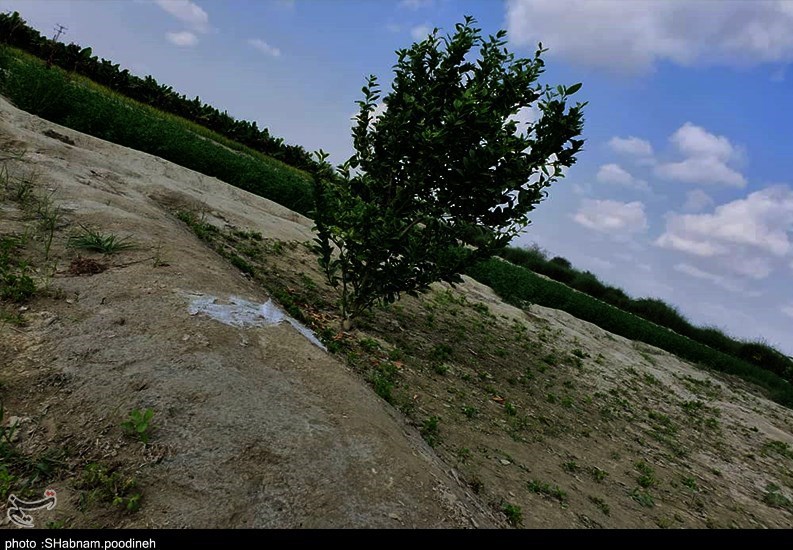 سیل , استان سیستان و بلوچستان , کشاورزی , 