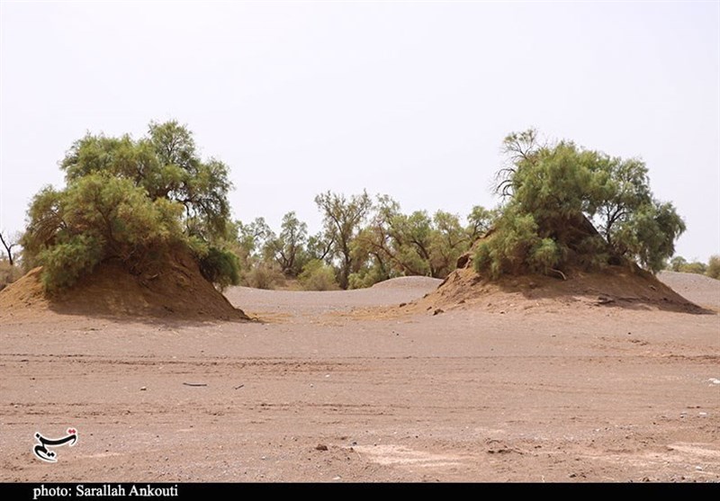 استان کرمان , سازمان میراث فرهنگی، صنایع دستی و گردشگری , 