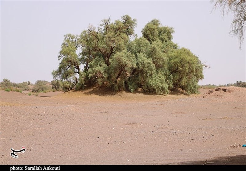 استان کرمان , سازمان میراث فرهنگی، صنایع دستی و گردشگری , 