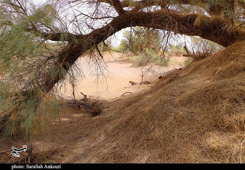 استان کرمان , سازمان میراث فرهنگی، صنایع دستی و گردشگری , 