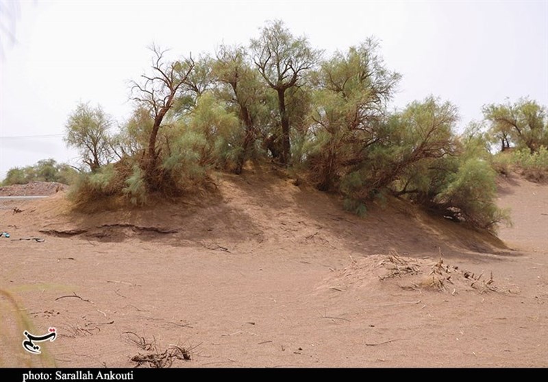 استان کرمان , سازمان میراث فرهنگی، صنایع دستی و گردشگری , 