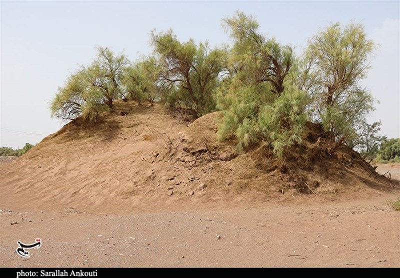 استان کرمان , سازمان میراث فرهنگی، صنایع دستی و گردشگری , 