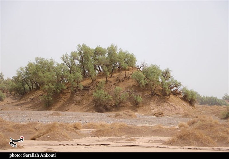 استان کرمان , سازمان میراث فرهنگی، صنایع دستی و گردشگری , 