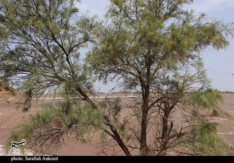 استان کرمان , سازمان میراث فرهنگی، صنایع دستی و گردشگری , 