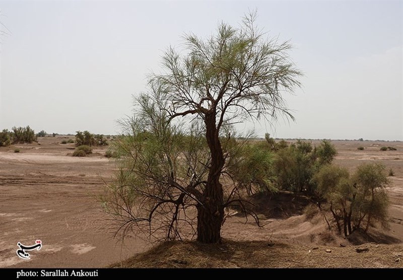 استان کرمان , سازمان میراث فرهنگی، صنایع دستی و گردشگری , 