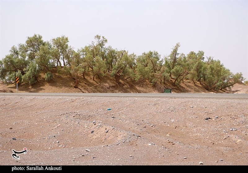 استان کرمان , سازمان میراث فرهنگی، صنایع دستی و گردشگری , 