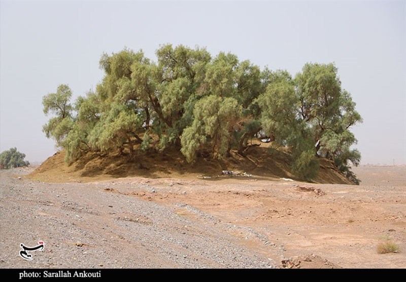 استان کرمان , سازمان میراث فرهنگی، صنایع دستی و گردشگری , 