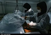 فعالیت زنان و نیروی کار ایرانی در کارخانه تولید ماسک در روزهای کرونایی
