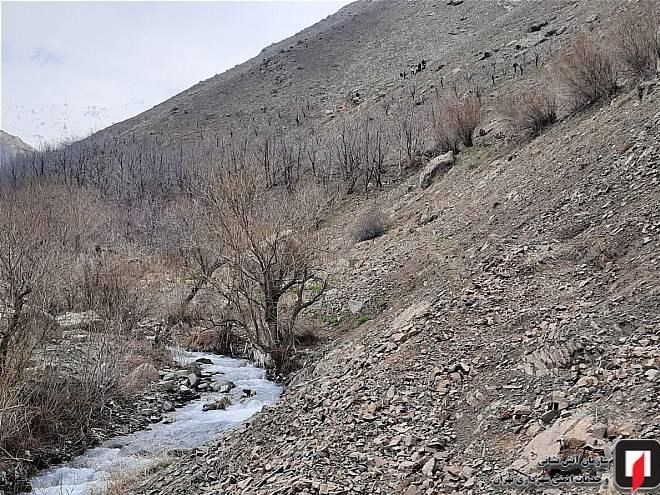 آتشنشانی , سازمان آتشنشانی تهران , اورژانس ,