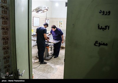 بازگشت بال سیاه به دامان طبیعت