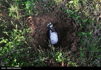 . یکی از جوجه ها که از ناحیه بال آسیب دیده و به دانشکده دامپزشکی اهواز فرستاده شده بود در حین عمل، جانش را از دست داد.