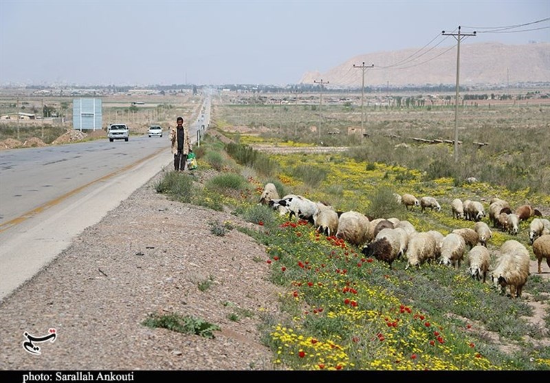 استان کرمان , 