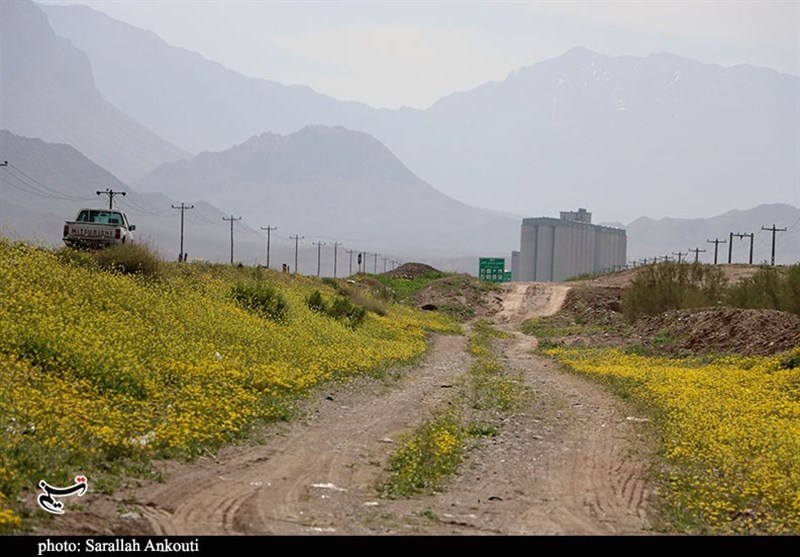 استان کرمان , 