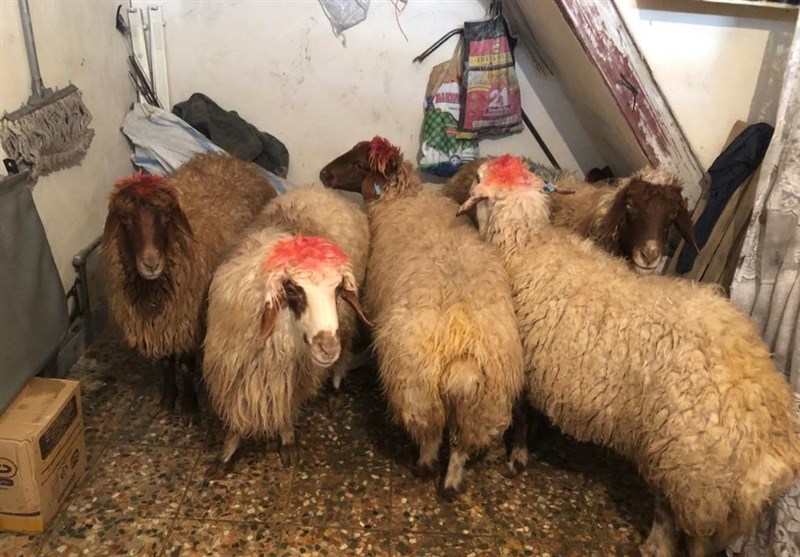 حوزه علمیه , ویروس کرونا , 