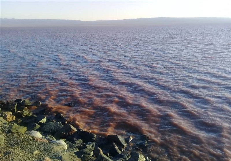 اخبار شهرستان نهبندان , اخبار استان خراسان جنوبی , 