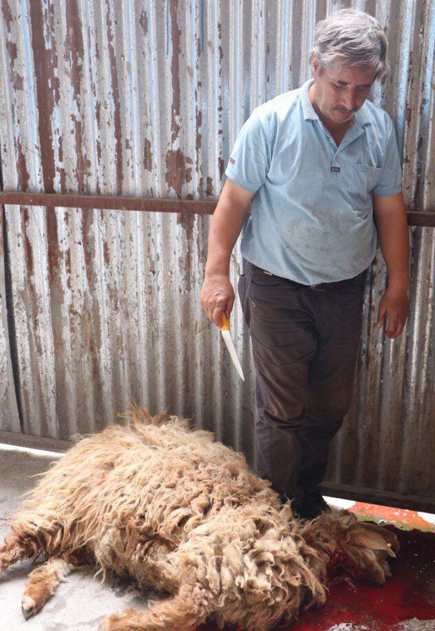 گروههای جهادی , کلیدواژههای بیانات مقام معظم رهبری , مردم تهران ,