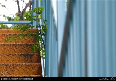 هوای قابل‌قبول تهران با شاخص 95