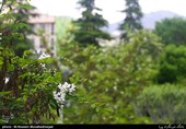 50 روز هوای قابل‌قبول در تهران