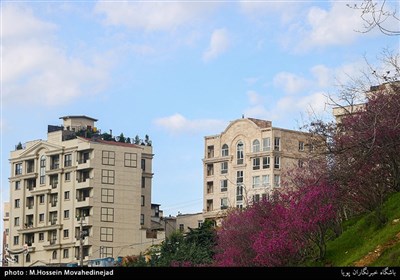 کیفیت هوای پایتخت "قابل‌قبول" است