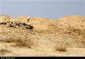 سقوط آب ورودی گاوخونی به 2.1 میلیون مترمکعب؛ قوه قضائیه بی‌تفاوت نیست