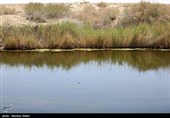 گاوخونی سهم مستقل آب می‌خواهد