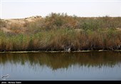 حقابه گاوخونی باید از رهاسازی زاینده‌رود تأمین شود
