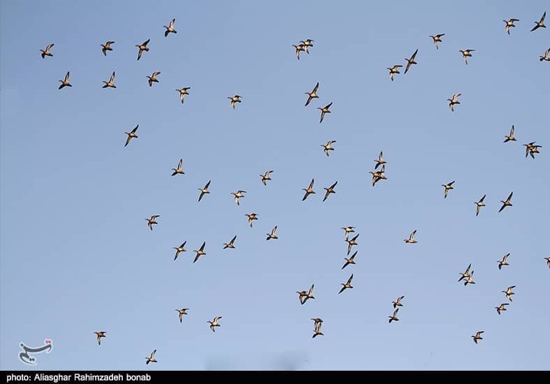 آذربایجان شرقی , پایش و نظارت در محیط زیست ,