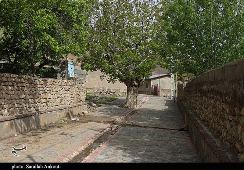 استان کرمان , زندگی روستایی , گردشگری سلامت , 