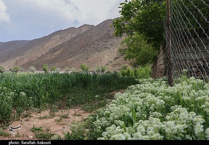 استان کرمان , زندگی روستایی , گردشگری سلامت , 