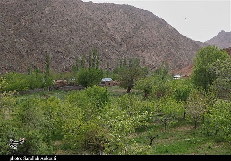 استان کرمان , زندگی روستایی , گردشگری سلامت , 
