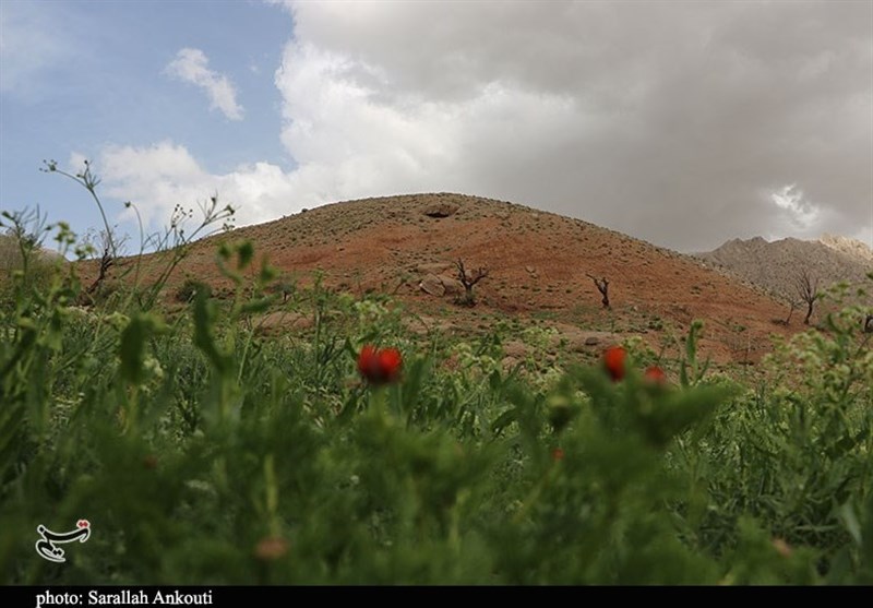 استان کرمان , زندگی روستایی , گردشگری سلامت , 
