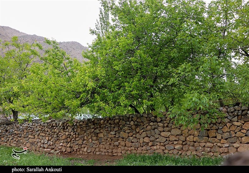 استان کرمان , زندگی روستایی , گردشگری سلامت , 