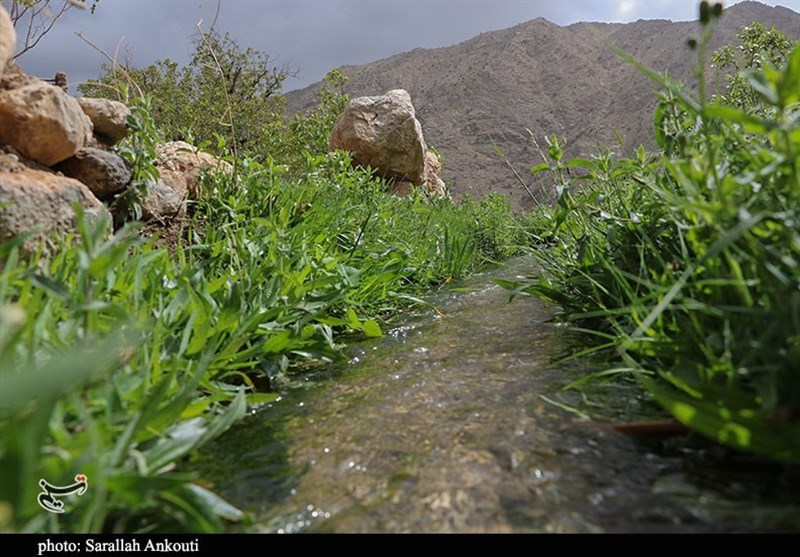استان کرمان , زندگی روستایی , گردشگری سلامت , 