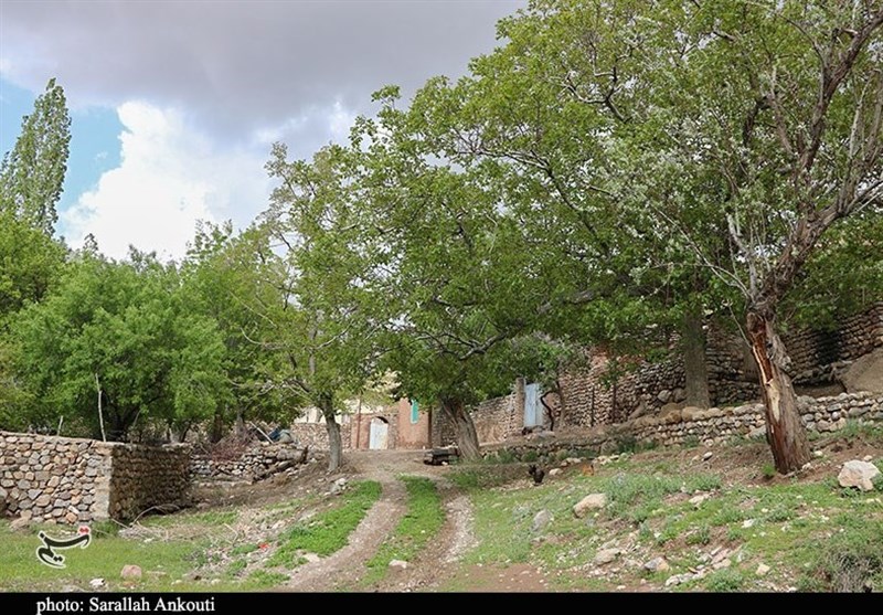 استان کرمان , زندگی روستایی , گردشگری سلامت , 