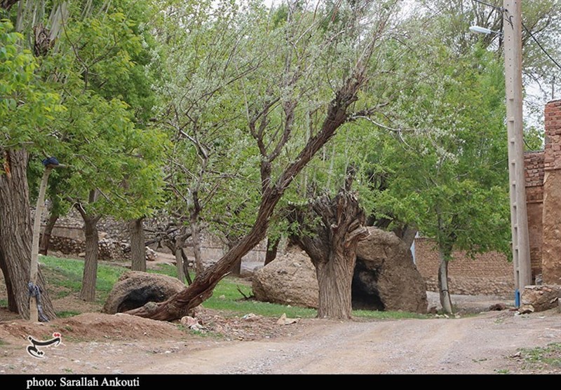 استان کرمان , زندگی روستایی , گردشگری سلامت , 