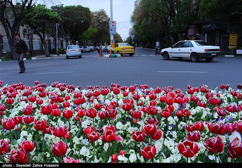 ویروس کرونا , 