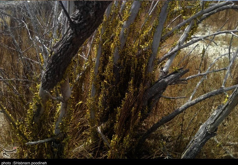 استان سیستان و بلوچستان , 